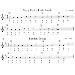 110 Ireland's Best Tin Whistle Tunes for Children