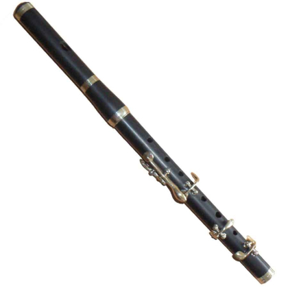 Flute traversière Miller Browne Sib
