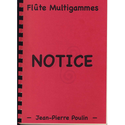 Flute whistle celtique "Multi-flûte" Poulin Ré ou Do