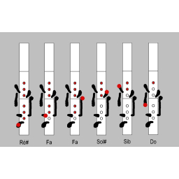 Flute traversière irlandaise Polypenco 6 clés Ré