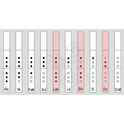 flute-traversire-irlandaise-en-bois-de-rose
